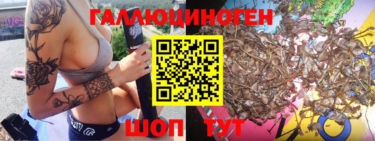 Псилоцибиновые грибы мицелий  Вход с VPN  Шелехов 